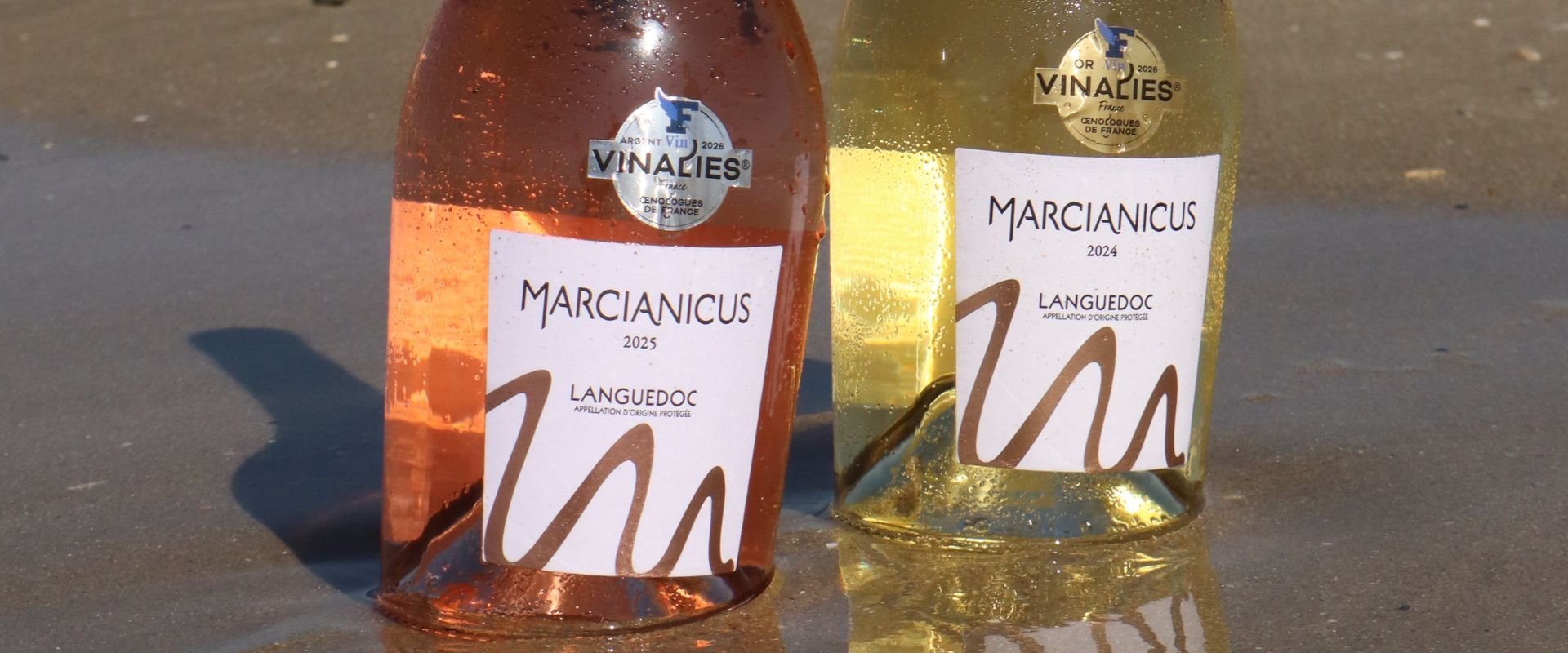 Marcianicus gamme